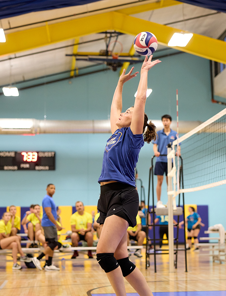 Volleyball court