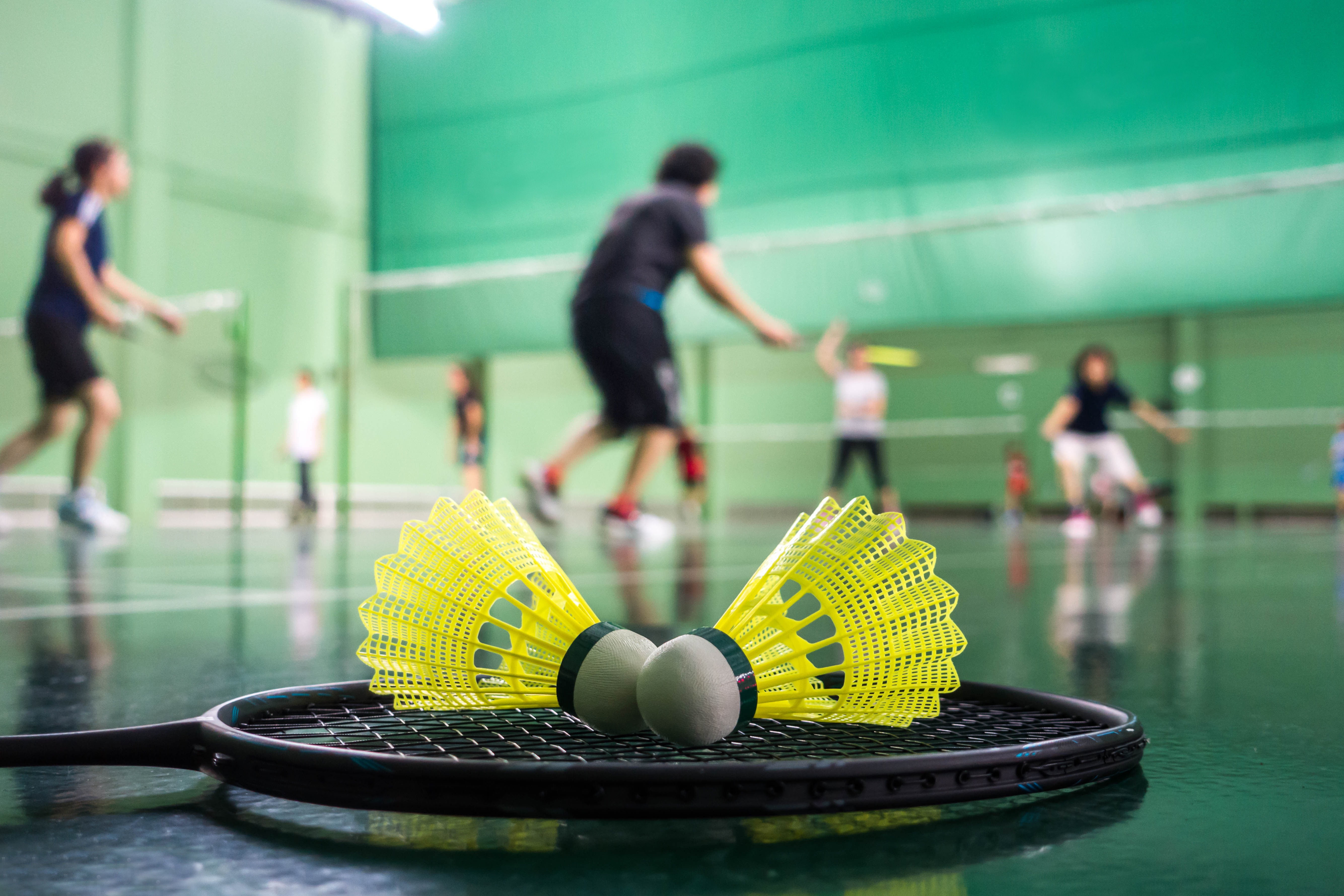 Badminton program