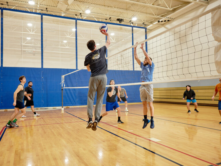 Mens volleyball